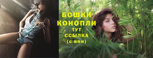 первитин Богданович