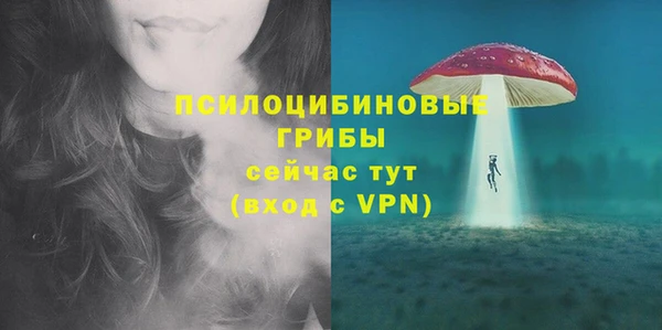первитин Богданович