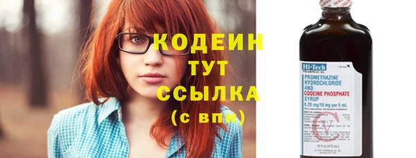 крисы Богородицк