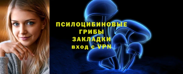 2c-b Белокуриха