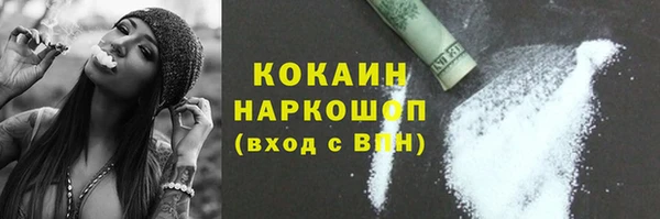 крисы Богородицк