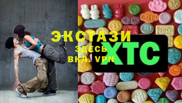 первитин Богданович