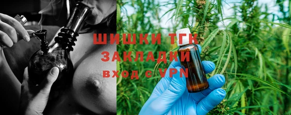 первитин Богданович