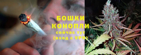 крисы Богородицк