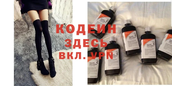 крисы Богородицк