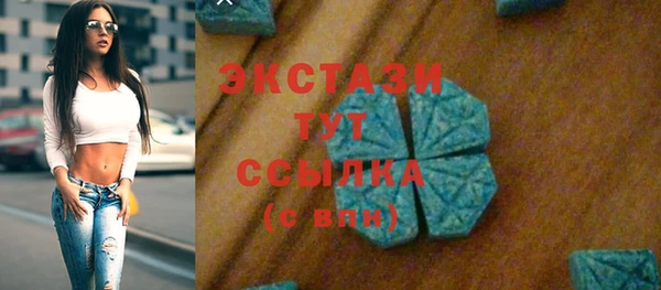 крисы Богородицк